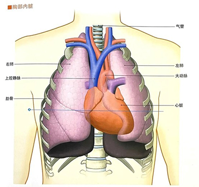 當(dāng)胸痛來(lái)襲，身體在“警報(bào)”什么？—— 一位放射科技師的科普